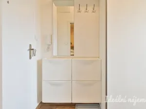 Pronájem bytu 1+1, Brno, Hodonínská, 32 m2