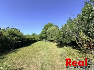 Prodej zahrady, Brno - Holásky, 2459 m2