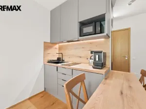 Prodej bytu 1+kk, Janské Lázně, Modrokamenná, 34 m2