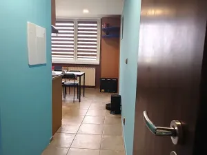 Prodej bytu 2+1, Hodonín, 60 m2