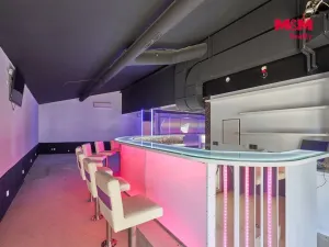 Pronájem obchodního prostoru, Drslavice, 365 m2