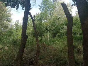 Prodej louky, Lednice - Nejdek, 5680 m2