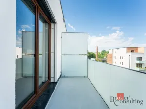 Pronájem bytu 1+kk, Olomouc - Nová Ulice, Třída Jiřího Pelikána, 39 m2