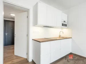 Pronájem bytu 1+kk, Olomouc - Nová Ulice, Třída Jiřího Pelikána, 39 m2
