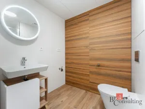 Pronájem bytu 1+kk, Olomouc - Nová Ulice, Třída Jiřího Pelikána, 39 m2