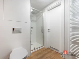 Pronájem bytu 1+kk, Olomouc - Nová Ulice, Třída Jiřího Pelikána, 39 m2