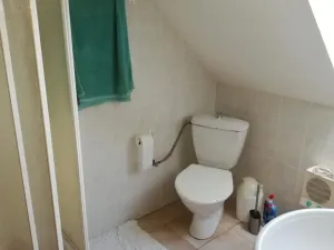 Prodej rodinného domu, Pochvalov, 250 m2