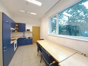 Pronájem obchodního prostoru, Tečovice, 706 m2