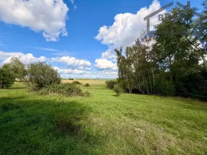Prodej pozemku pro bydlení, Ctiboř, 82911 m2