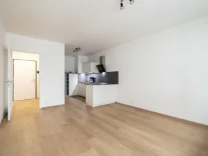 Pronájem bytu 2+kk, Praha - Nusle, V Horkách, 49 m2
