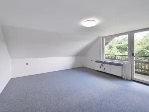 Prodej rodinného domu, Milešov, 250 m2