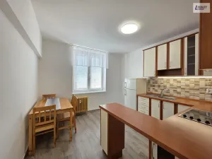 Pronájem bytu 1+1, Příbram - Příbram VII, Mariánská, 39 m2