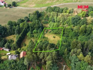 Prodej louky, Světlá nad Sázavou - Dolní Březinka, 1831 m2