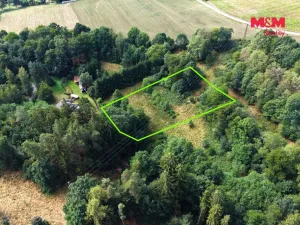 Prodej louky, Světlá nad Sázavou - Dolní Březinka, 1831 m2