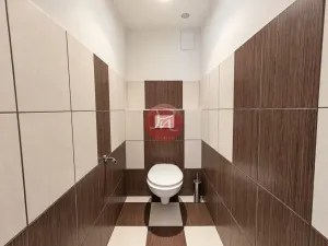 Prodej rodinného domu, Hranice, Hranická, 340 m2