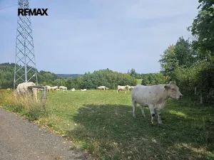 Prodej pozemku pro bydlení, Česká Třebová, 852 m2