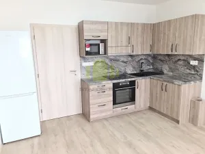 Pronájem bytu 1+kk, Olomouc, Wolkerova, 31 m2