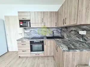 Pronájem bytu 1+kk, Olomouc, Wolkerova, 31 m2