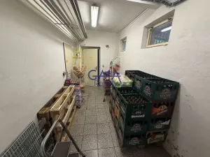 Prodej obchodního prostoru, Jemnice, Tyršova, 481 m2
