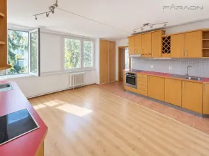 Prodej bytu 2+1, Praha - Karlín, Molákova, 55 m2