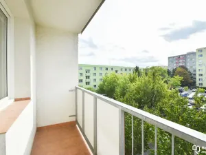 Pronájem bytu 2+1, Olomouc, Schweitzerova, 56 m2
