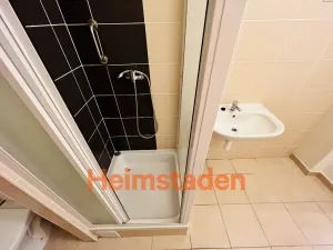 Pronájem bytu 2+kk, Ostrava - Poruba, Opavská, 41 m2