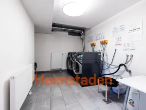Pronájem bytu 1+kk, Plzeň - Jižní Předměstí, Magisterská, 28 m2