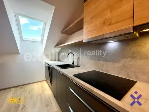 Pronájem bytu 4+kk, Uherské Hradiště - Jarošov, Za Humny, 152 m2