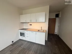 Pronájem bytu 1+1, Most, Marš. Rybalka, 35 m2