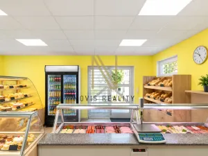 Prodej obchodního prostoru, Nezvěstice, 103 m2