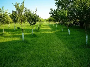 Prodej vícegeneračního domu, Pečky, 280 m2