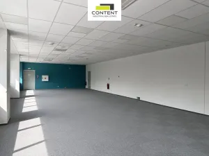 Pronájem skladu, Most - Čepirohy, Žatecká, 9330 m2