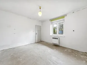 Prodej vícegeneračního domu, Víska u Jevíčka, 174 m2