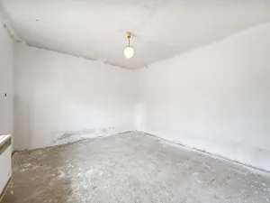Prodej vícegeneračního domu, Víska u Jevíčka, 174 m2