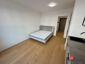 Pronájem bytu 1+kk, Brno - Zábrdovice, Bratislavská, 24 m2