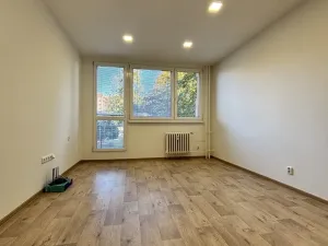 Pronájem bytu 1+1, Frýdek-Místek - Místek, Maxima Gorkého, 42 m2