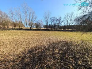 Prodej pozemku pro bydlení, Bílsko - Netonice, 4553 m2