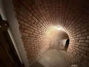 Prodej vinného sklepa, Žabčice, 140 m2