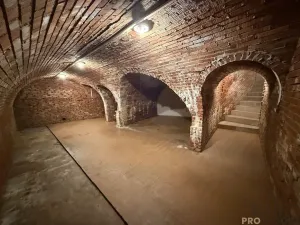 Prodej vinného sklepa, Žabčice, 140 m2