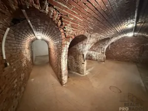 Prodej vinného sklepa, Žabčice, 140 m2