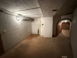 Prodej vinného sklepa, Žabčice, 140 m2
