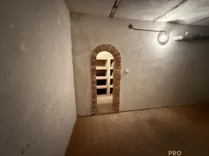 Prodej vinného sklepa, Žabčice, 140 m2