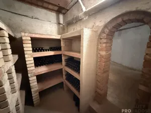 Prodej vinného sklepa, Žabčice, 140 m2