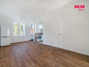 Pronájem bytu 2+kk, Plzeň, Vrchlického, 57 m2