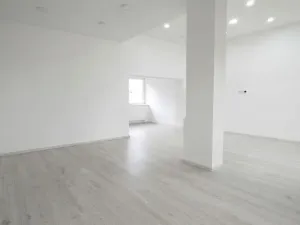 Pronájem bytu 3+kk, Olešná, 102 m2