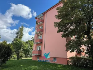 Prodej bytu 2+1, Teplice, Svojsíkova, 54 m2