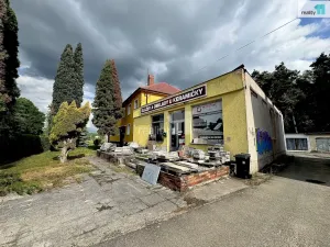 Prodej obchodního prostoru, Chlumčany, U Keramičky, 168 m2