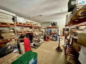 Prodej obchodního prostoru, Chlumčany, U Keramičky, 168 m2