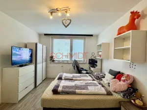 Prodej bytu 2+1, Hustopeče, Větrná, 54 m2