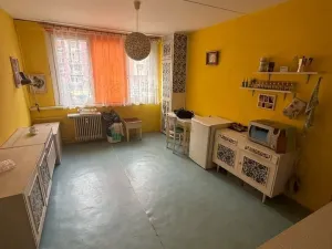 Pronájem bytu 1+1, Plzeň, Sokolovská, 40 m2